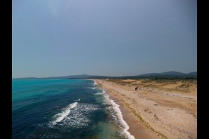Алепу