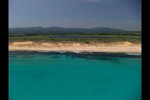 Алепу